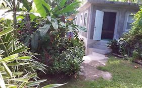 Port Antonio Brian'S Beach House